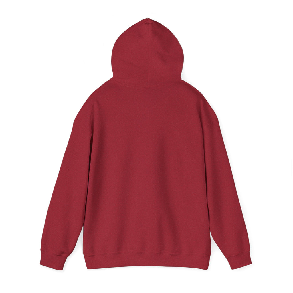 Psychological Thriller Book Club Hoodie