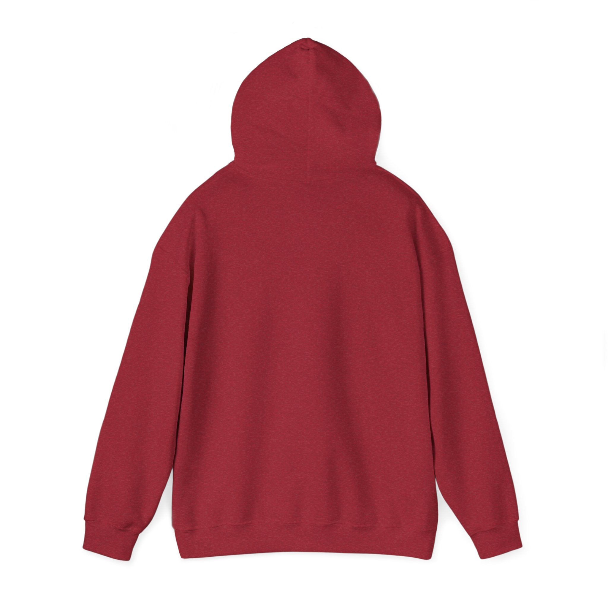 Psychological Thriller Book Club Hoodie