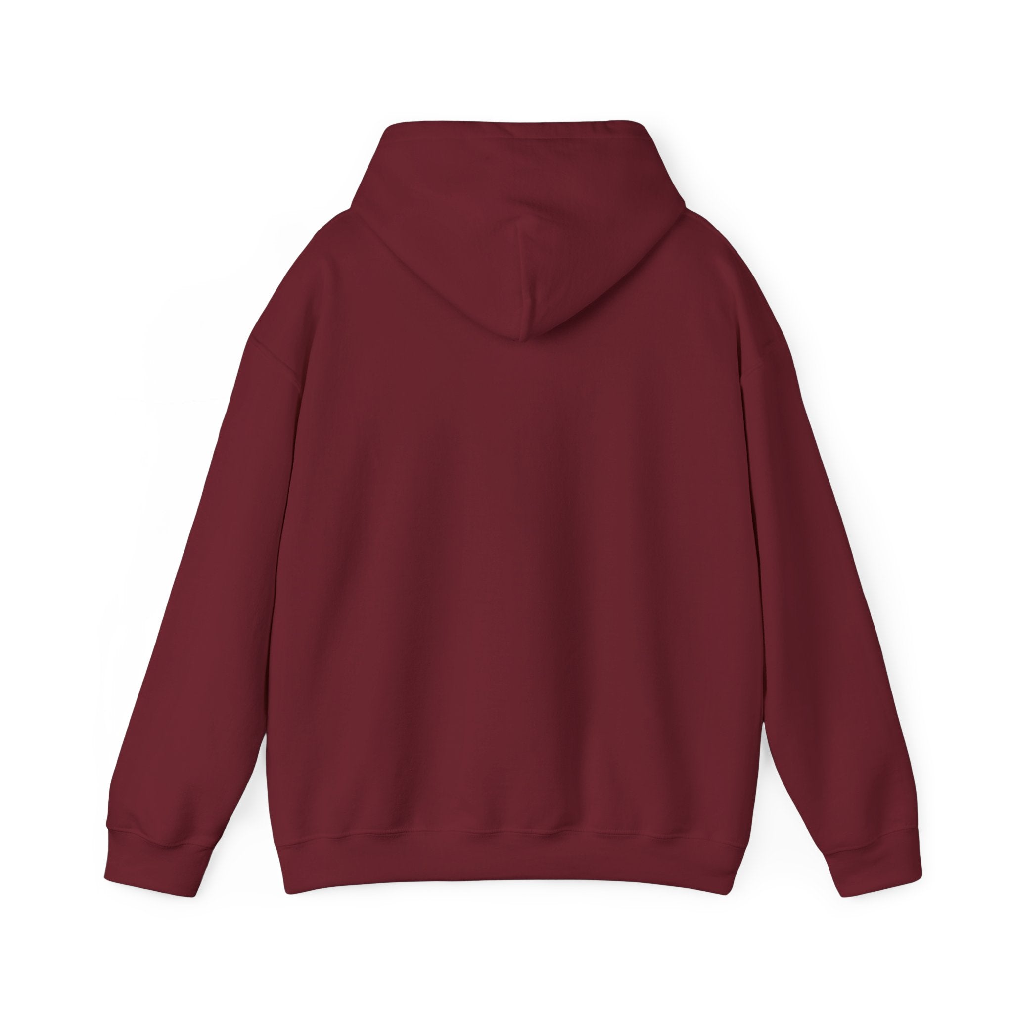 Psychological Thriller Book Club Hoodie