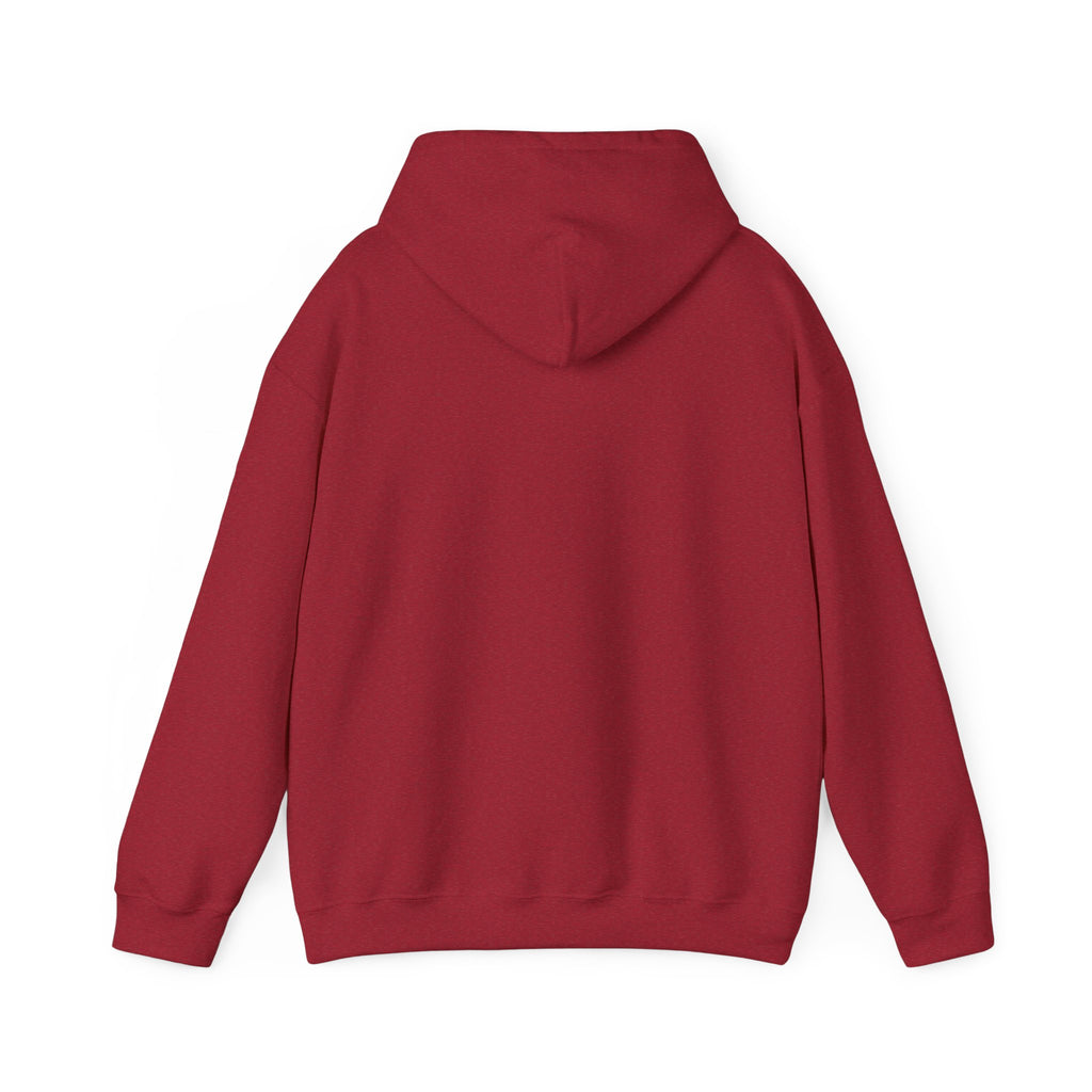 Psychological Thriller Book Club Hoodie