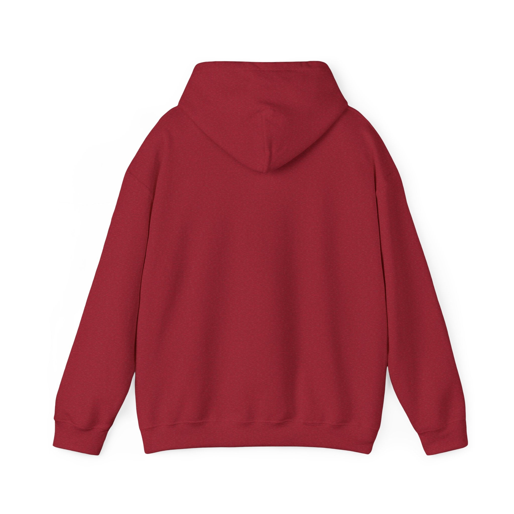 Psychological Thriller Book Club Hoodie