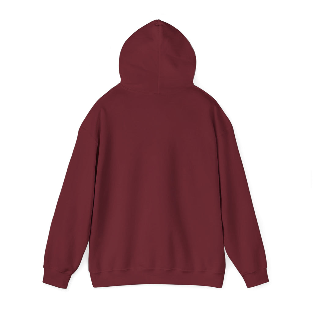 Psychological Thriller Book Club Hoodie