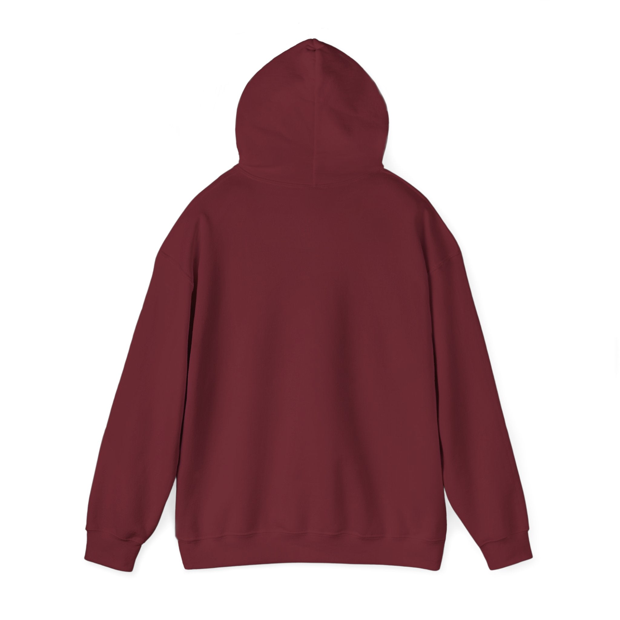 Psychological Thriller Book Club Hoodie