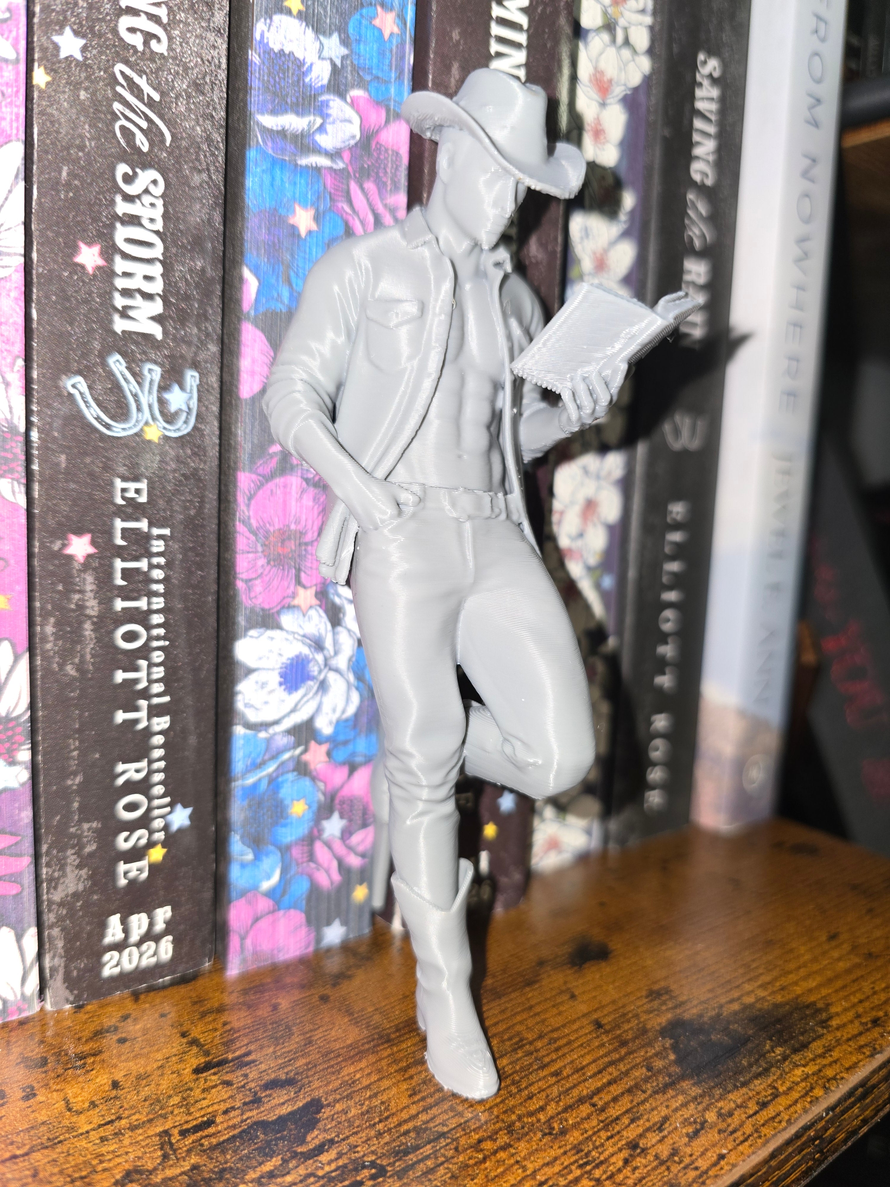 Hot Cowboy Reading bookshelf decor